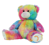 Rainbow Bear (16″)